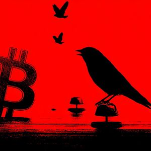 Crypto Is the Most-Snoozed Topic on X After April Launch