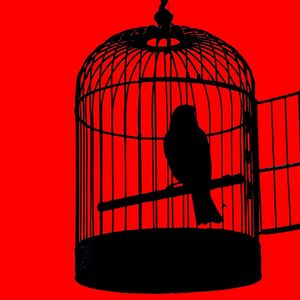 Binance Says MiCA Pushed 70% of Exiting EU Users Into Self-Custody