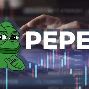 Whales Take Action in PEPE, whose Price Dropped Hard!