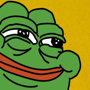 BREAKING: PEPE Team Makes a Statement on Recent Events