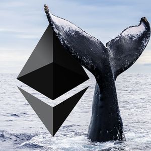 Massive Whale Trades 10.000 Ethereum After Grayscale Wins the Lawsuit