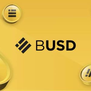 Binance Calls for Converting BUSD Assets to Other Stablecoins!