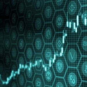 Mysterious Whale Collected This Altcoin from Binance, Price Increased by 20 Percent!