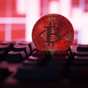 550K Transactions Waiting on Bitcoin Network! What Causes the Congestion? Will Stock Markets Stop Shooting?