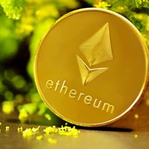 What Are the Stories of the Biggest Ethereum Whales? One Burned Over $500 Million Worth of ETH