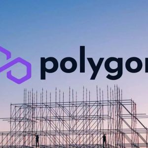 Polygon Labs Presented Official Proposals for Migration to 2.0! MATIC is Removing, Which Token Will Replace It?