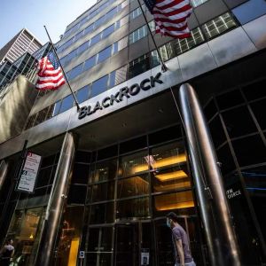 FED Interest Rate Forecast from BlackRock, Rising Bitcoin (BTC)!