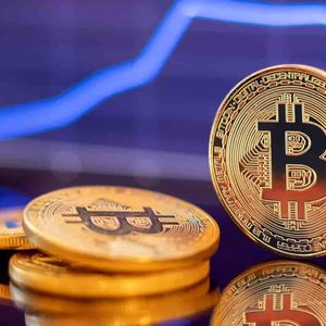 Bitcoin Dominance Is Rising! How Will This Affect BTC and Altcoins? Analysts Evaluated!