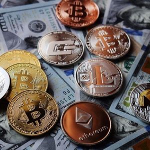 Are Investors Interested in Bitcoin or Altcoins? Is Fear or Greed Dominating the Market? Santiment Reviewed!