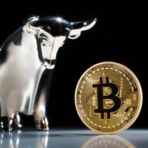 Analytics Firm Matrixport: “The Real Bull in 2024 Will Be in This Field of Bitcoin”