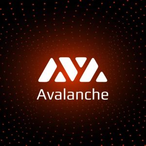 After Friend.Tech, a New Hype in the Cryptocurrency Market Emerged This Time on the Avalanche Network