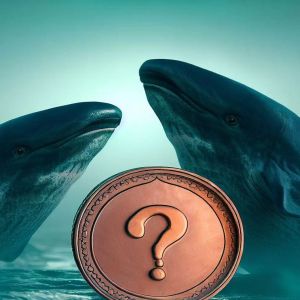 Two Institutional Whales Are Accumulating This Altcoin, According to Data