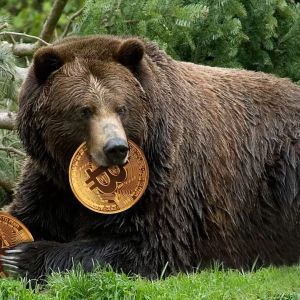 Big Bear il Capo Gave Up! The Analyst, Who Closed Some Altcoin Positions with a Loss, Shared Two Possible Scenarios for Bitcoin!