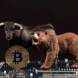 Big Bear Trader il Capo Shares His New Predictions and Next Strategy