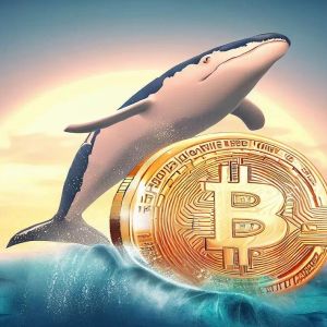 7,000 BTC Transfer from Bitcoin's 14th Largest Whale!
