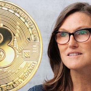 ARK Invest CEO Cathie Wood Reveals Her Choice Between Bitcoin, Gold or Cash
