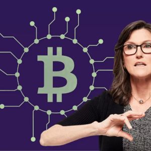 Cryptocurrency Market Cap Prophecy from Big Bull Cathie Wood: “Total Market Cap Could Be $25 Trillion By 2030”