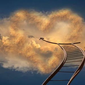 While Bitcoin Falls, These Altcoins Positively Decoupled the Bears from the Market! Here are the Stars of the Day!