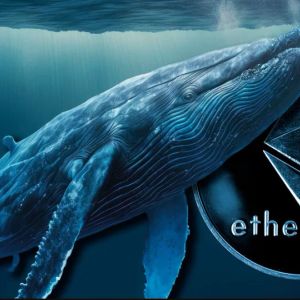Whale, who made a profit of 14 million dollars in Ethereum, sold a lot of ETH! Here are his actions!