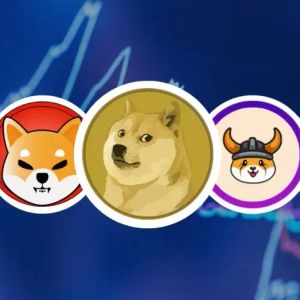 144 Billion Units Transferred from Popular Memecoin to Binance