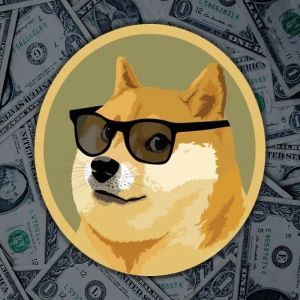 Netflix Director Invested His Series Budget in Dogecoin and Made Millions! But He Can't Get His Money!