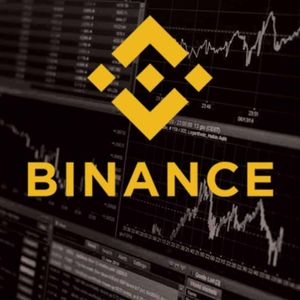 Altcoins This Company Invests In Are Usually Listed On Binance: Here’s its Portfolio
