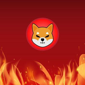 More than 100 Million SHIB Tokens Were Burned This Week