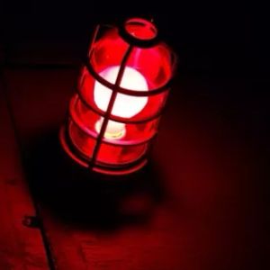 Red Alert for Popular Fan Altcoin! Loaded Transfer Made!