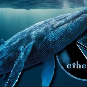 Ethereum ICO Investor Made a Large Transfer to Kraken After a Long Time! Is There a Sale Coming?