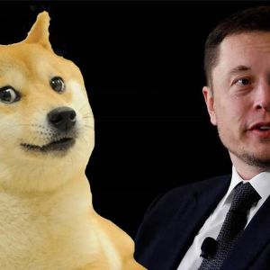 Shocking Hidden Dogecoin Detail in Elon Musk’s New Product Cybertruck’s Website Code