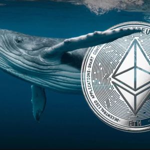 The Sleeping Giant Ethereum Whale Awakened After Five Years! Made a Transaction of 90 Million Dollars!