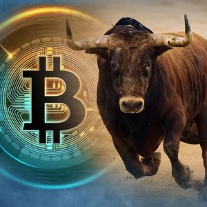 Analyst Says Bitcoin's Rally Will Continue: "BTC's Next Target is This Level!"