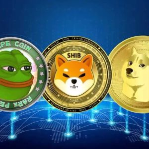 Record Token Burn occurred in the Popular Memecoin!