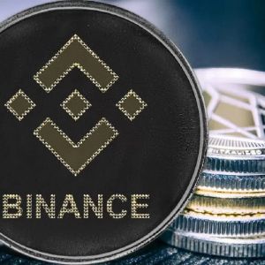 A First Happened in BNB Six Months After the Binance Announcement! Big Bear il Capo Commented!