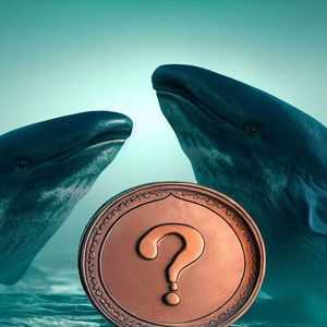 New Cryptocurrency Whales Are Gathering From These Two Altcoins! They Made a Large Purchase from Binance!