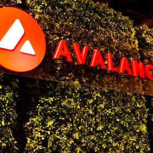 Avalanche Foundation Announces Mem Token Purchase, AVAX-Based Altcoins Soar!