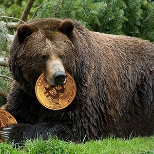 While Bitcoin Exceeds $45,000, Big Bear il Capo Announces His New Predictions! Will the Rise in BTC and Altcoins Continue?