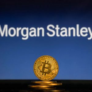 Bitcoin Statement from Morgan Stanley!
