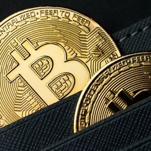 An Anonymous Wallet Paid $66,000 Worth of Bitcoin for Encrypted Data!