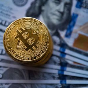 Latest Situation in Bitcoin and Altcoins After SEC's Spot Bitcoin ETF Approval
