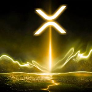 XRP Report from Santiment! "Investor Sentiment Is Negative, FUD Is High But…"