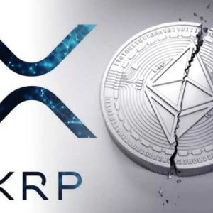 Famous Bitcoin Supporter CEO Targeted Etheruem and XRP!