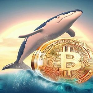 Whale Activity Supported Bitcoin's Latest Rise! 45 Thousand Dollar Resistance Reached!