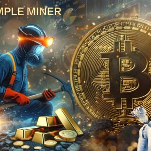 Simple Miner – a new model for earning integrated passive income