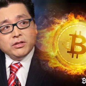 Bitcoin Supporter Tom Lee, Who Correctly Predicted the 2023 Rally, Announced His New BTC Prediction!