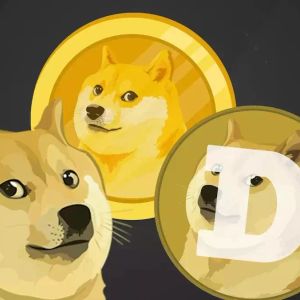 Dogecoin, Elon Musk's Favorite, is Rushing from Record to Record! Will the Rally Continue, What Does the Data Say for DOGE?