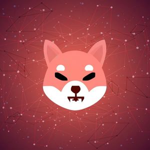 Prominent Analyst Evaluates Shiba Inu (SHIB): Reveals the Point Where He Claims the Rally Will Begin