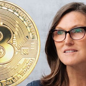 Cathie Wood Makes Upward Update on Her $1 Million Bitcoin Price Prediction