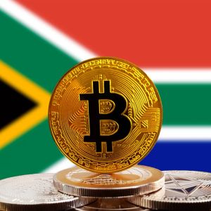 Critical and Model Decision for Cryptocurrencies from South Africa