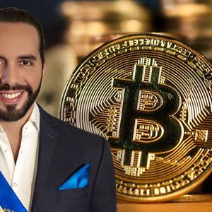 Bitcoin Country El Salvador's BTC Treasury Surprised! They Moved Thousands of Bincoins to Cold Wallets!